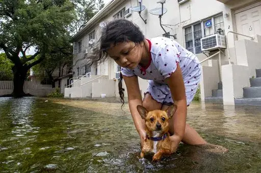 Mileidy Erazo, 6, holds her dog Canelo as he swims in floodwater near her apartment in the Little Havana neighborhood of Miami, Saturday, June 4, 2022. (Daniel A. Varela/Miami Herald via AP)