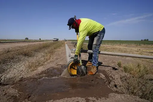 A worker diverts water as a sprinkler system is installed for alfalfa at the Cox family farm Monday, Aug. 15, 2022, near Brawley, Calif. Under a new program, farmers of certain forage crops, including alfalfa, will be paid to shut off water to their fields for a short period of time during the hot summer months, which are not peak times for the crop and which won't affect its long-term viability. (AP Photo/Gregory Bull, File)