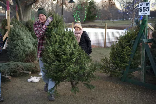 Larry Gurnee carries a $55 Christmas tree he selected with his wife, , Libby Gurnee, background, at a Rotary Club tree sale, Wednesday, Dec. 14, 2022, in South Portland, Maine. Inflation has Americans cutting back on spending in some areas this holiday season but Christmas trees is not one of them, according to the National Christmas Tree Association. (AP Photo/Robert F. Bukaty)