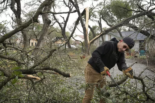 Jojo Mairena-Davila uses a handsaw to remove a large tree that fell in his yard on Broadmeade Avenue, Friday, Feb. 3, 2023, in Austin, Texas, following a winter ice storm. (Jay Janner/Austin American-Statesman via AP)