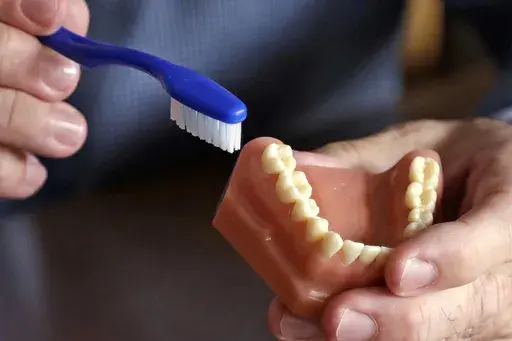 A dentist holds a model of teeth and a toothbrush in Seattle on Aug. 3, 2018. (AP Photo/Elaine Thompson, File)