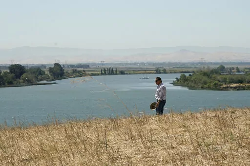 Al Medvitz, who farms alfalfa and other crops, looks out over Sacramento River from a hill on his land near Rio Vista, Calif., on Monday, July 25, 2022. In dry winters like the one California just had, less fresh water flows down from the mountains into the Sacramento River, the state's largest. Medvitz wants approval from the state to build a small reservoir on the property to store fresh water for use in dry times.  (AP Photo/Rich Pedroncelli)