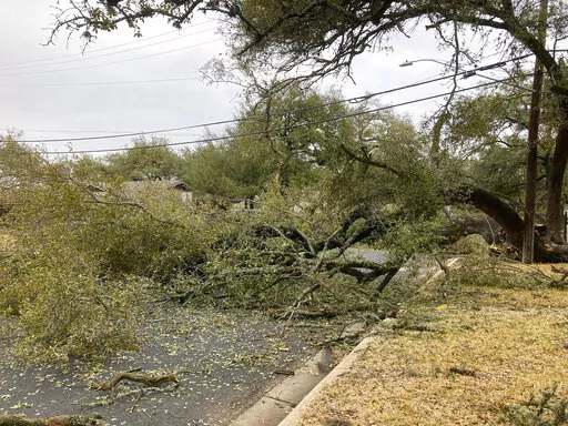 Several days after the ice storm that hit Austin, Texas, a fallen tree still blocks a northwest neighborhood street. (AP Photo/Nell Carroll)