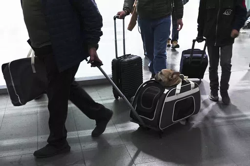 A traveler pulls his dog in a wheeled carrier at the Benito Juarez International Airport in Mexico City, Wednesday, Dec. 21, 2022. If you are bringing a dog into the U.S. — whether if you are returning from a trip overseas with Rover, visiting the U.S., or adopting a dog from abroad — you have to follow a set of new rules released by the Centers for Disease Control and Prevention on Wednesday, May 8, 2024, designed to help prevent the spread of rabies. (AP Photo/Marco Ugarte, File)