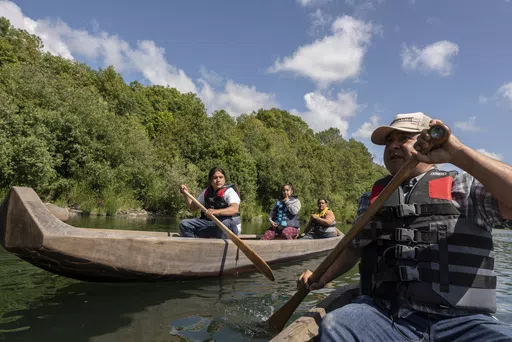 Yurok tribal members lead a redwood canoe tour on the lower Klamath River on Tuesday, June 8, 2021, in Klamath, Calif. As the salmon of the Klamath have dwindled the Yurok tribe has turned to alternative revenue like eco tourism and canoe tours in an effort to support their people. The Yurok Tribe, which lost 90 percent of its ancestral land during the Gold Rush in the mid-19th century, is getting back a slice of its territory under an agreement signed Tuesday, March 19, 2024, with California an