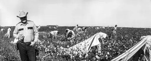 A prison guard holds a glass of an iced drink while watching prisoners picking cotton in 1975 at the Cummins Unit prison farm of the Arkansas Department of Corrections in Grady, Ark. (Bruce Jackson via AP)