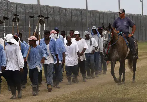 In this Aug. 18, 2011 photo, prison guards ride horses that were broken by inmates as they return from farm work detail at the Louisiana State Penitentiary in Angola, La. In September, several incarcerated workers along with the New Orleans-based advocacy group Voice of the Experienced filed a class-action lawsuit calling for an end to the farm line, and accusing the state of cruel and unusual punishment. But as temperatures soared in May, the men asked the court in an emergency filing to stop w