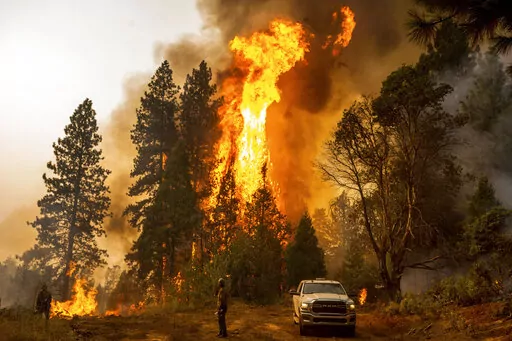 A firefighter monitors a backfire, flames lit by fire crews to burn off vegetation, while battling the Mosquito Fire in the Volcanoville community of El Dorado County, Calif., on Sept. 9, 2022. Drought and wildfire risks will remain elevated in the western states while warmer than average temperatures will greet the Southwest, Gulf Coast and East Coast this winter, federal weather officials said Thursday, Oct. 20. (AP Photo/Noah Berger, File)