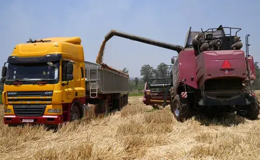 A combine harvester offloads wheat grain into a truck during a harvest at a farm in Bindura about 88 kilometres north east of the capital Harare, Monday, Oct, 10, 2022. Zimbabwe says it is on the brink of its biggest wheat harvest in history, thanks in large part to efforts to overcome food supply problems caused by the war in Ukraine. But bush fires and impending rains are threatening crops yet to be harvested. (AP Photo/Tsvangirayi Mukwazhi)
