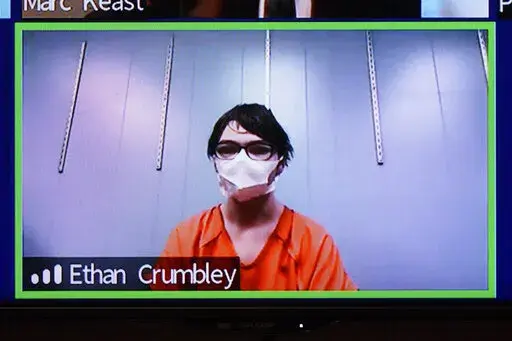 This image from 52-3 District Court shows Ethan Crumbley in a Zoom hearing in Rochester Hills, Mich., Friday, Jan. 7, 2022. The teenager charged with killing four students at their Michigan high school has waived a key court hearing. The decision means Crumbley's case moves straight to a trial court in suburban Detroit. Crumbley, 15, is charged as an adult with murder, terrorism and other counts for the Nov. 30 shooting at Oxford High School, about 30 miles north of Detroit. (AP Photo/Carlos Oso