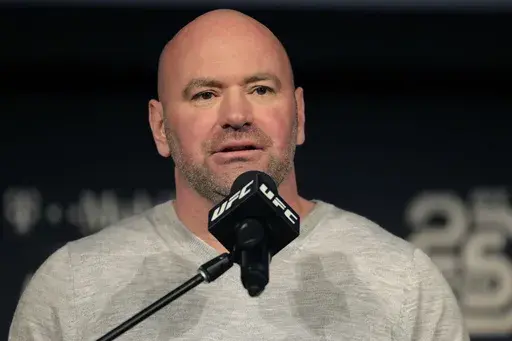 In this Nov. 2, 2018, file photo, UFC president Dana White speaks at a news conference in New York. (AP Photo/Julio Cortez, File)