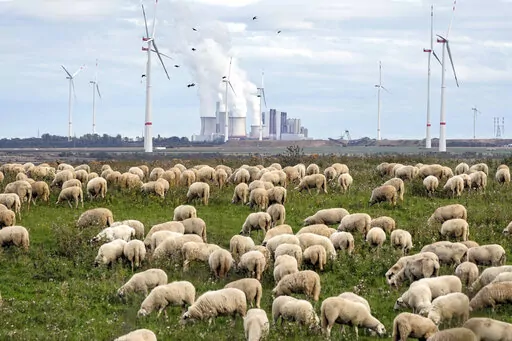 A flock of sheep graze in front of a coal-fired power plant at the Garzweiler open-cast coal mine near Luetzerath, western Germany, Oct. 16, 2022. The International Energy Agency said Wednesday, Oct. 19, that it expects carbon emissions from the burning of fossil fuels to rise again this year, but by much less than in 2021 due to the growth in renewable power and electric cars. (AP Photo/Martin Meissner, File)