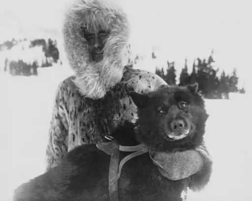 Gunnar Kaasen and with his dog Balto, the heroic dogsled team leader, sit for a portrait in the early 1920s. As a part of the Zoonomia Project, with 11 papers published Thursday, April 27, 2023, in the journal Science, by comparing Balto’s genes to those of other dogs, researchers found he was more genetically diverse than modern breeds and may have carried genetic variants that helped him survive harsh conditions. The Zoonomia Project is an international effort comparing the genetic blueprint