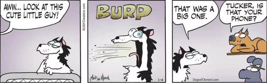 Dogs of C-Kennel for Jan 04, 2024