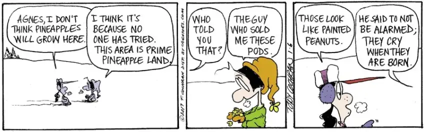 Agnes for Jan 06, 2023