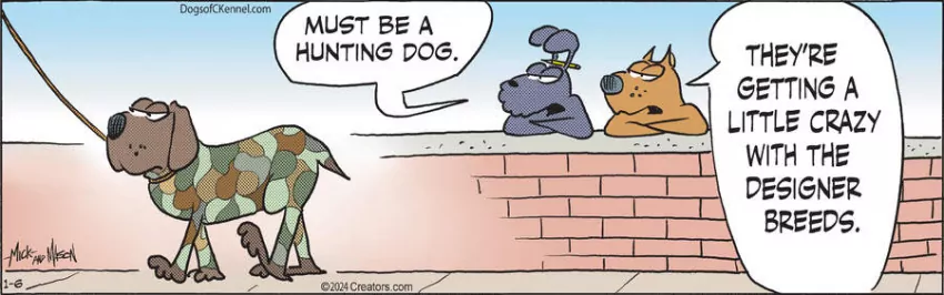 Dogs of C-Kennel for Jan 06, 2024