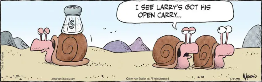 B.C. for Jan 07, 2025