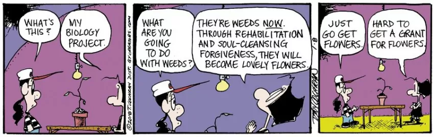 Agnes for Jan 08, 2024