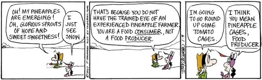 Agnes for Jan 09, 2023