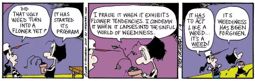 Agnes for Jan 09, 2024