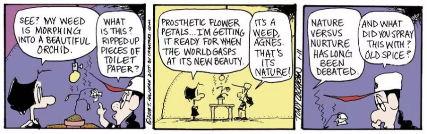 Agnes for Jan 11, 2024