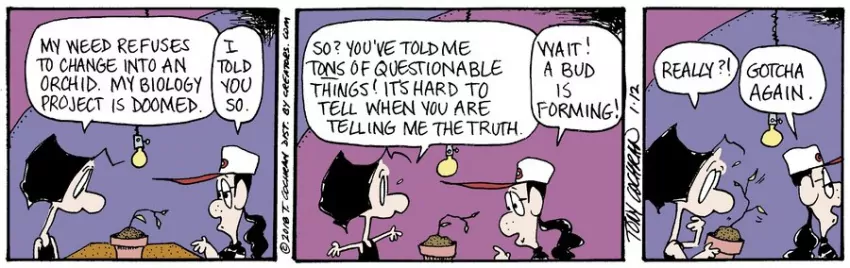 Agnes for Jan 12, 2024