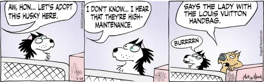 Dogs of C-Kennel for Jan 14, 2025