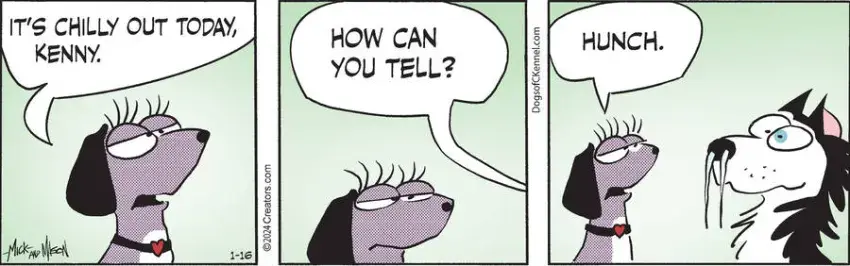 Dogs of C-Kennel for Jan 16, 2024