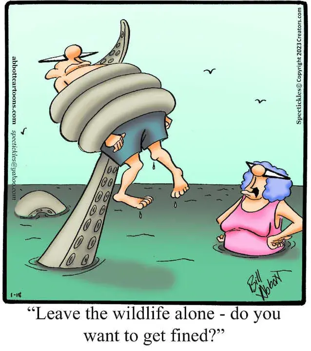 Spectickles for Jan 18, 2023