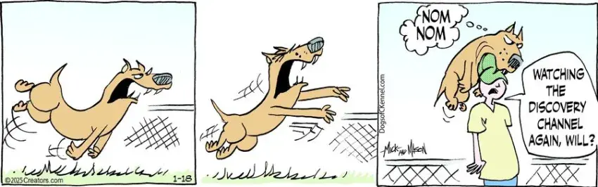 Dogs of C-Kennel for Jan 18, 2025