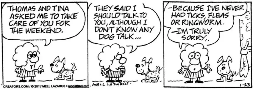 Momma for Jan 23, 2025