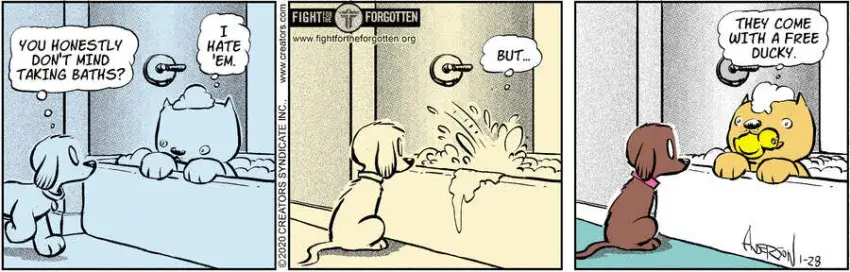 Dog Eat Doug for Jan 28, 2025