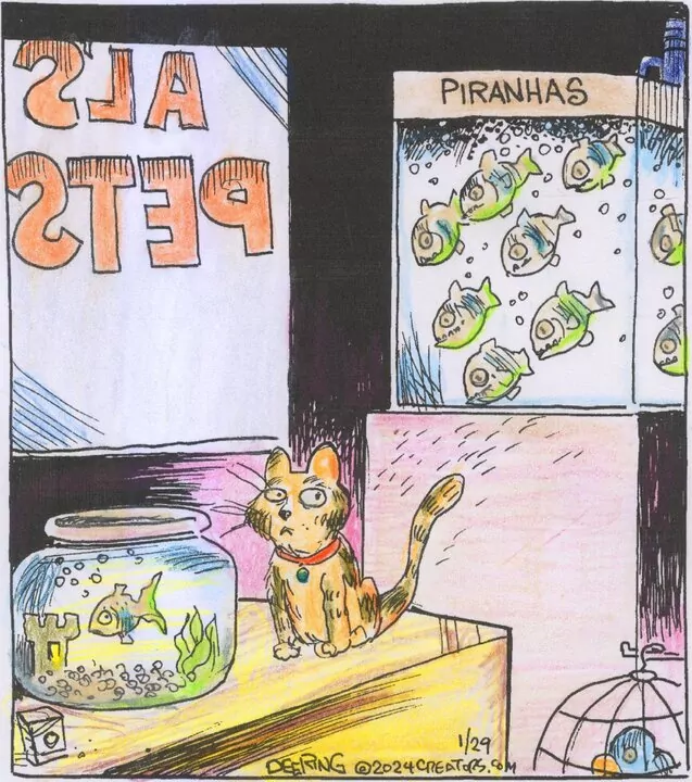 Strange Brew for Jan 29, 2024