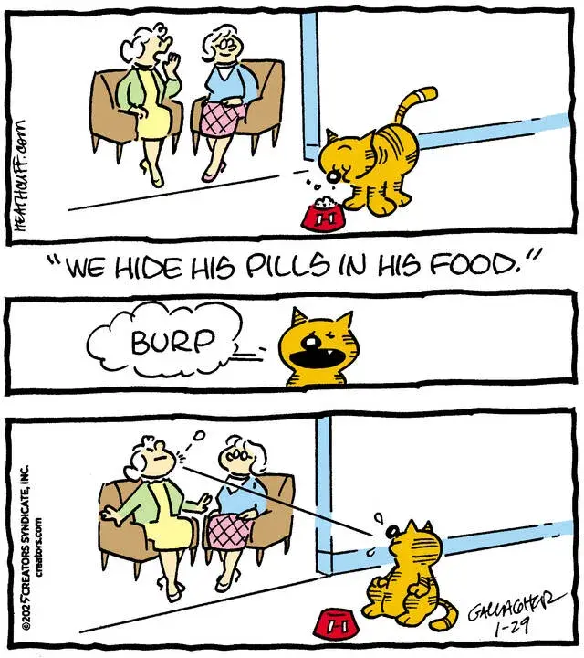 Heathcliff for Jan 29, 2025