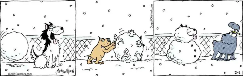 Dogs of C-Kennel for Feb 01, 2025