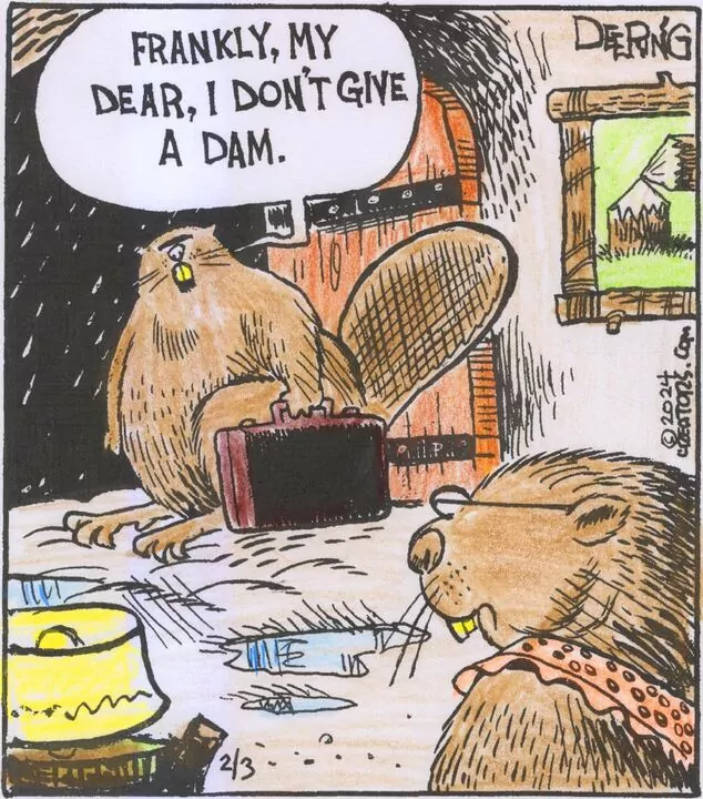 Strange Brew for Feb 03, 2024