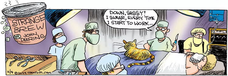Strange Brew for Feb 04, 2024