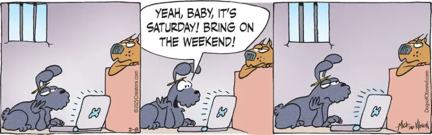 Dogs of C-Kennel for Feb 08, 2025