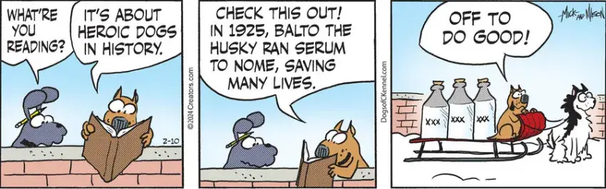 Dogs of C-Kennel for Feb 10, 2024