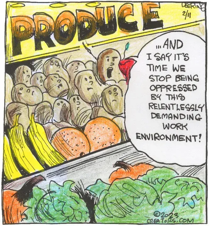 Strange Brew for Feb 11, 2023