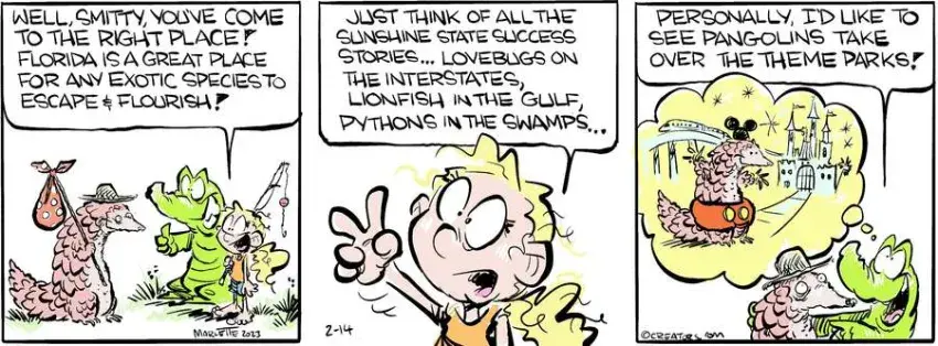 Shrimp and Grits for Feb 14, 2023