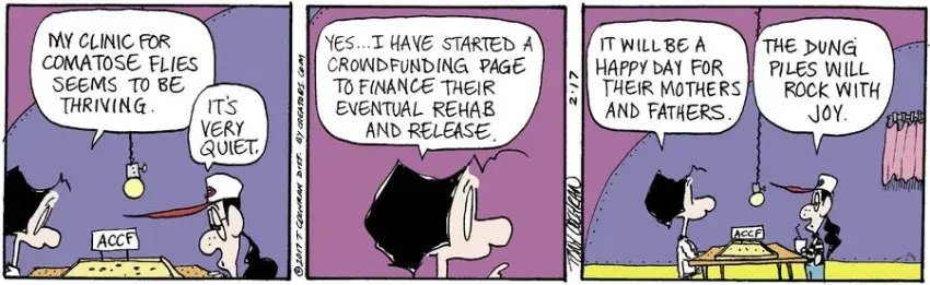 Agnes for Feb 17, 2023