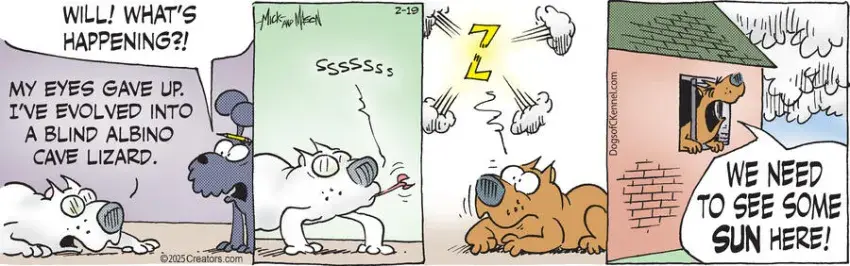 Dogs of C-Kennel for Feb 19, 2025