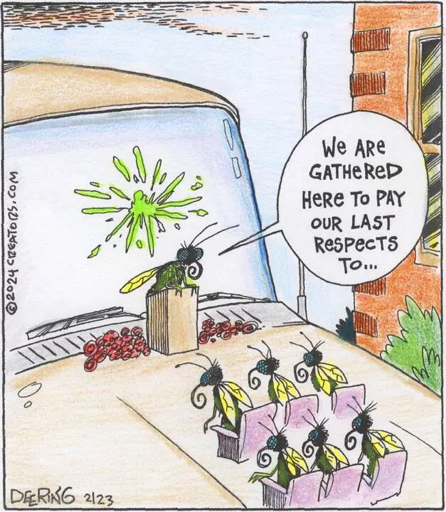 Strange Brew for Feb 23, 2024