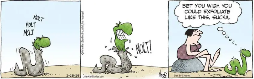 B.C. for Feb 28, 2025