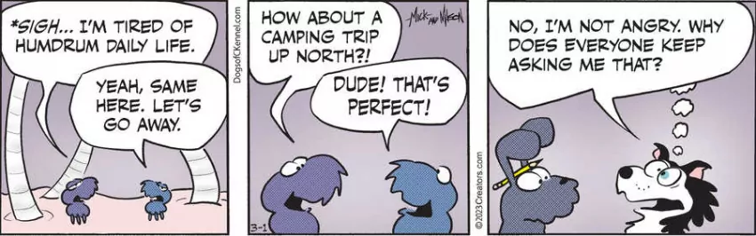 Dogs of C-Kennel for Mar 01, 2023