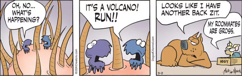 Dogs of C-Kennel for Mar 02, 2024