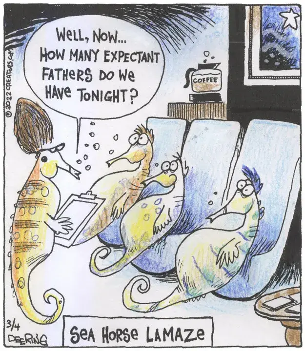 Strange Brew for Mar 04, 2022