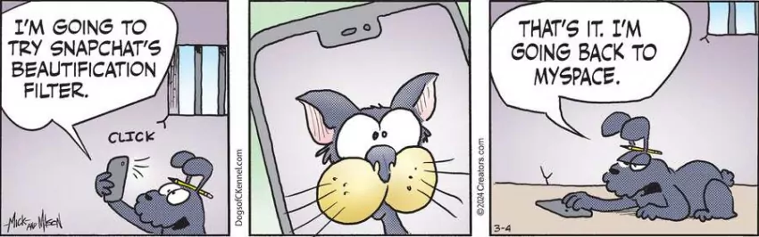 Dogs of C-Kennel for Mar 04, 2024