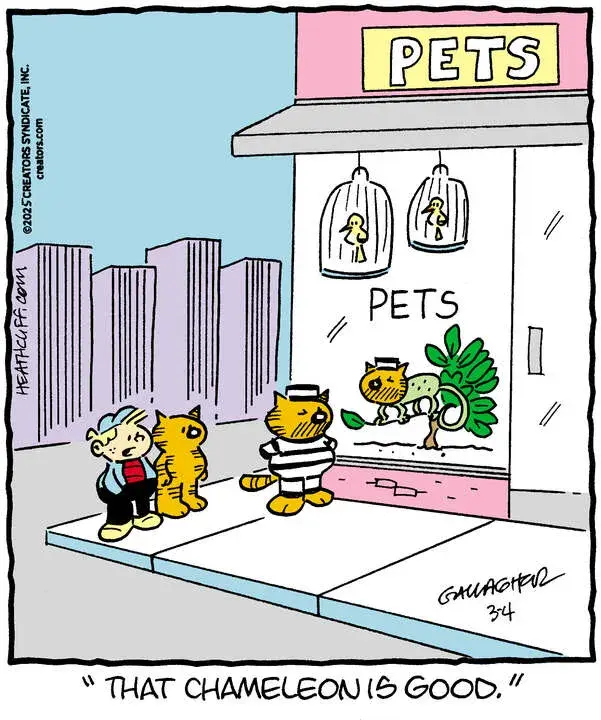 Heathcliff for Mar 04, 2025